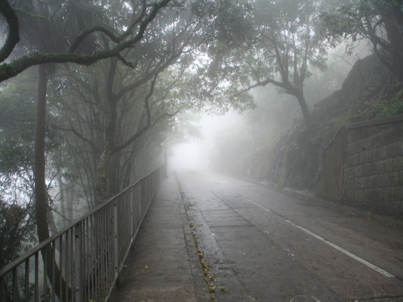 Misty Trail Through Victoria Peak