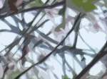 Filename=20110607_FrayingStrands.mp3
Filesize=2751KiB
Dimensions=0x0
Date added=Jun 07, 2011 20110607_FrayingStrands.mp3