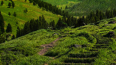 Filename=20220526_GreenerGrass.youtube
Filesize=0KiB
Dimensions=0x0
Date added=May 28, 2022 20220526_GreenerGrass.youtube