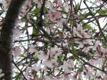 Filename=20100420-2_PoisonCherries.mp3
Filesize=1336KiB
Dimensions=0x0
Date added=Apr 20, 2010 20100420-2_PoisonCherries.mp3