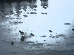 Filename=20110620_Sparkle.mp3
Filesize=2251KiB
Dimensions=0x0
Date added=Jun 22, 2011 20110620_Sparkle.mp3