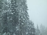 Filename=20130505_WinterDriftly.mp3
Filesize=5842KiB
Dimensions=0x0
Date added=May 05, 2013 20130505_WinterDriftly.mp3