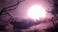 Filename=20210617_AutumnClockLoop.youtube
Filesize=0KiB
Dimensions=0x0
Date added=Jun 17, 2021 20210617_AutumnClockLoop.youtube