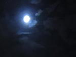 Filename=20150624_Stellarial.mp3
Filesize=1558KiB
Dimensions=0x0
Date added=Jun 24, 2015 20150624_Stellarial.mp3