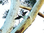 Filename=20130315_Island.mp3
Filesize=1212KiB
Dimensions=0x0
Date added=Mar 15, 2013 20130315_Island.mp3
