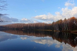 Filename=2015-11-15_14-15-36.jpg
Filesize=94KiB
Dimensions=1024x683
Date added=Sep 24, 2017 2015-11-15_14-15-36.jpg