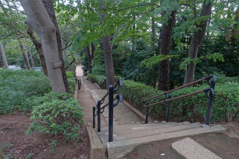 Click to view full size image