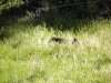 Filename=2005-07-21_09-13-4801.flv
Filesize=2607KiB
Dimensions=0x0
Date added=Nov 04, 2007 2005-07-21_09-13-4801.flv